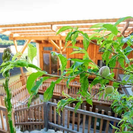 Silbersberg Holiday home *