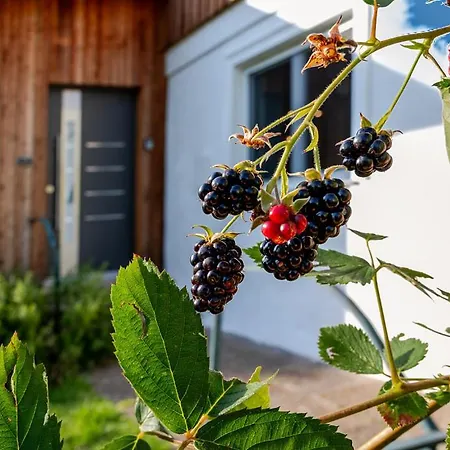 Silbersberg Ferienhaus Gloggnitz