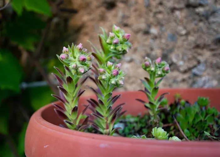 Feriehus Silbersberg