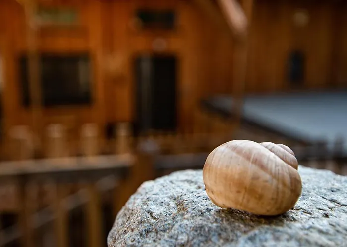 Silbersberg גלוגניץ